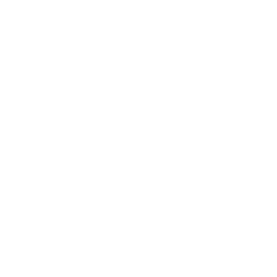 icons8-cheque-50