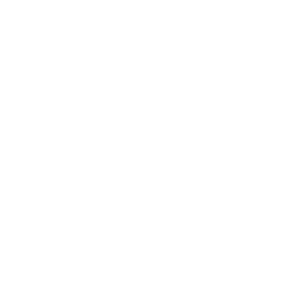 icons8-flow-chart-50